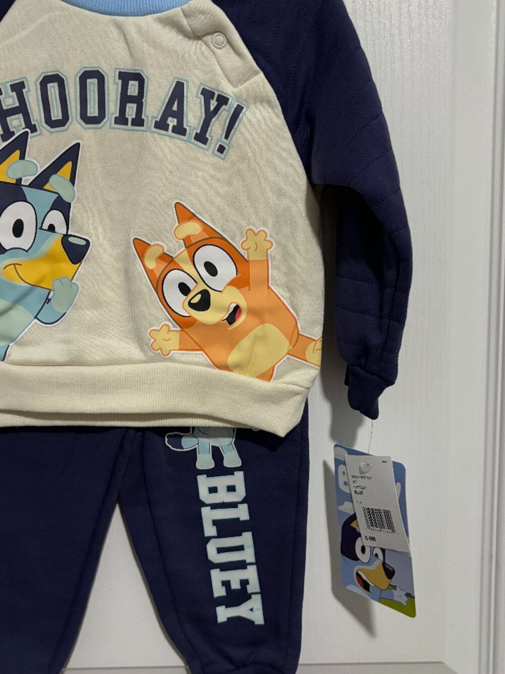 Bluey Bingo Baby Boys 2 Piece Long Sleeve Pullover Sweater Pants Set, Size 6-9m